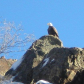 Orilla Verde Recreation Area 