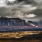 Denali National Park