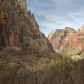 Zion National Park