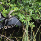 Everglades National Park