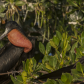Everglades National Park