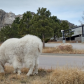 Mount Rushmore National Memorial