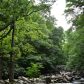 Smoky Mountain National Park