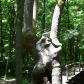 Smoky Mountain National Park