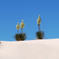 White Sands National Monument