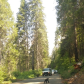 Sequoia National Park