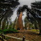 Sequoia National Park