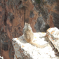 Grand Canyon National Park