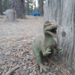 Plumas National Forest - Lake Davis Recreation Area