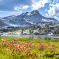 Inyo National Forest 