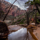 Zion National Park