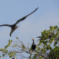 Everglades National Park 