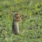 Denali National Park