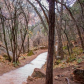 Zion National Park