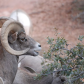 Zion National Park