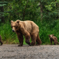 Katmai National Park & Preserve