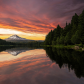 Mount Hood National Forest