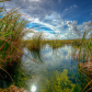 Everglades National Park