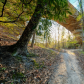 Big South Fork National River & Recreation Area