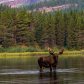 Glacier National Park
