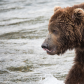 Katmai National Park and Preserve