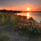 Jamaica Bay Wildlife Refuge