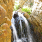 Uinta-Wasatch-Cache National Forest