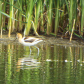 Tule Lake National Wildlife Refuge