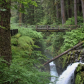 Olympic National Park