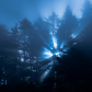 Redwood National Park