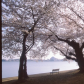 National Mall and Memorial Parks