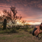 Saguaro National Park