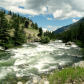 Custer National Forest