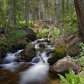 White River National Forest