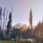 Mount Rainier National Park