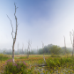 Cuyahoga Valley National Park