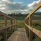San Juan National Forest