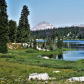 Bear Tooth Highway