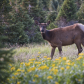 Rocky Mountain National Park
