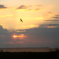 Everglades National Park