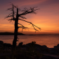 Acadia National Park