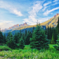 Uncompahgre National Forest