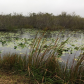 Everglades National Park
