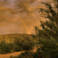 Saguaro National Park