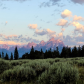 Bridger Teton National Forest