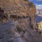Grand Canyon National Park