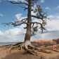 Bryce Canyon National Park