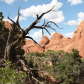 Arches National Park