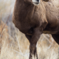 Badlands National Park