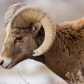 Badlands National Park